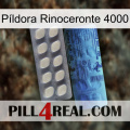 Píldora Rinoceronte 4000 34